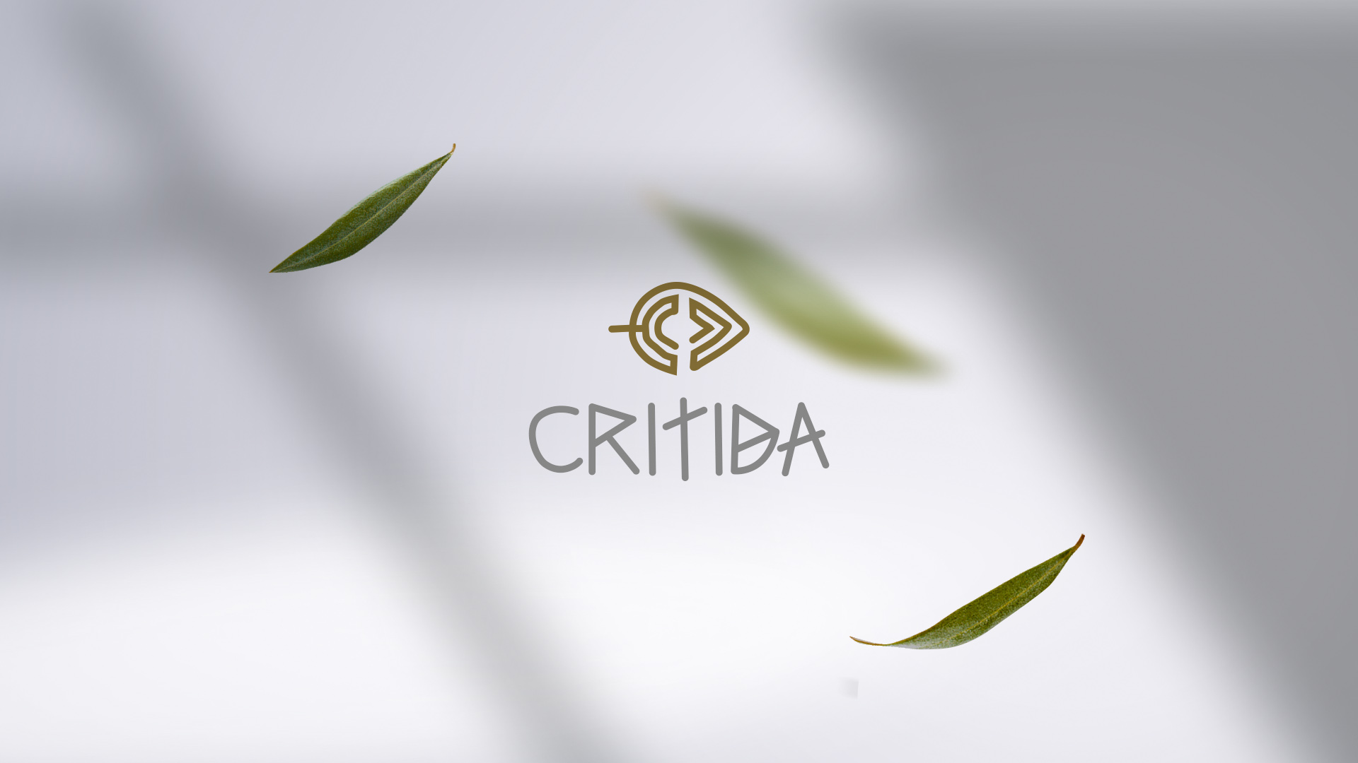 Critida Logo